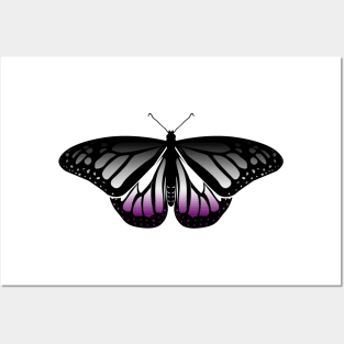 Asexual Pride Butterfly Posters and Art